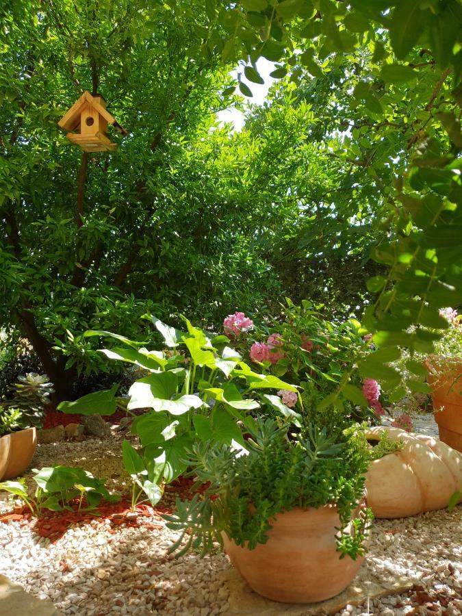 Apartment Tonka Šibenik Екстериор снимка